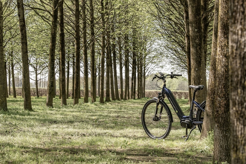 E-Bike Tour